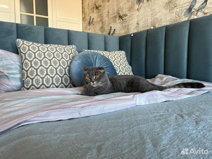 Кровать с подъемным механизмом