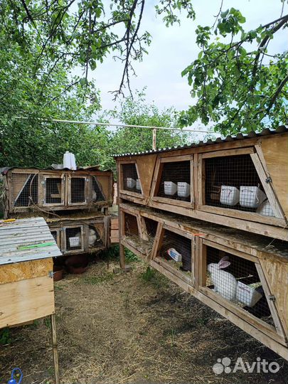 Кроликоферма