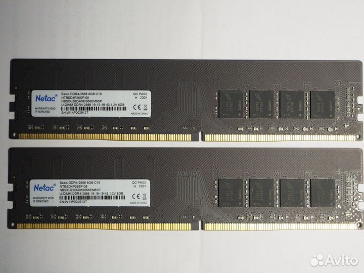 Пара модулей на 16GB - Netac Basic 8GB DDR4 2666MH