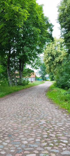 Участок 41 сот. (ИЖС)