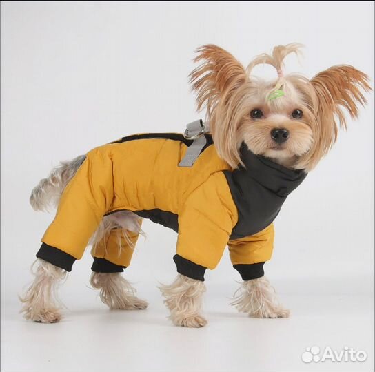 Зимний комбинезон для собаки маленькой