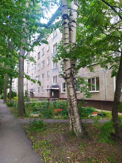 3-к. квартира, 61,5 м², 3/5 эт.