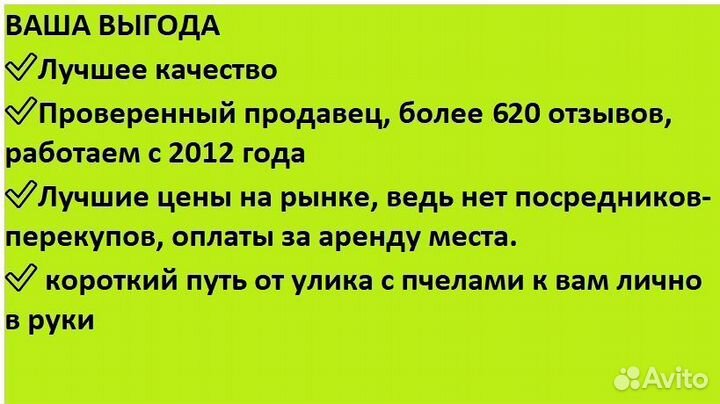 Мед 1л каштановый от пчёл, доставкой беспл