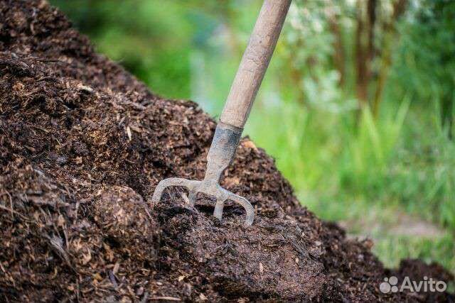 Навоз бесплатно