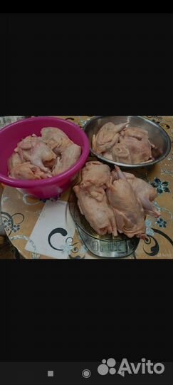 Перепелиное мясо