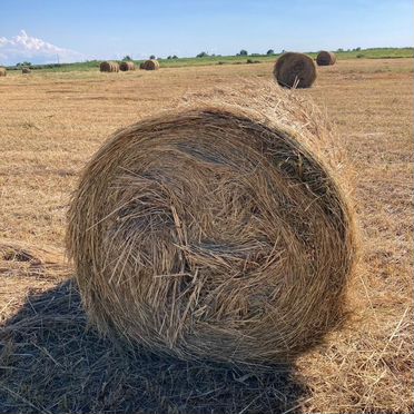 Сено в рулонах
