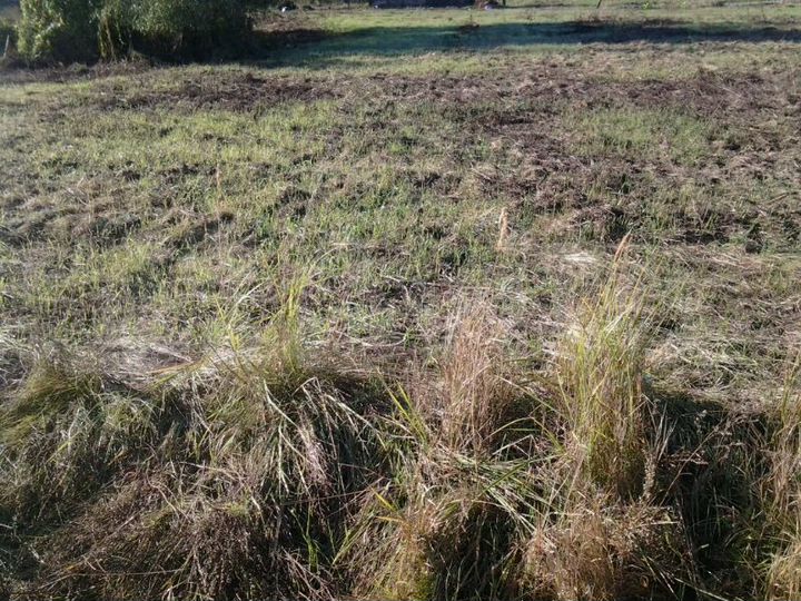 Участок 20 сот. (ИЖС)