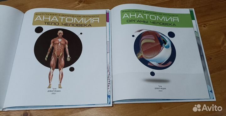 Анатомия человека. Книга