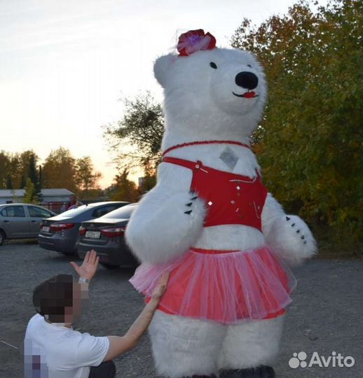Аниматор, Ростовой Белый мишка поздравление