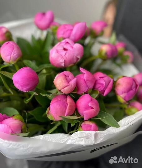 Пионы букет