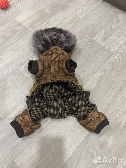 Комбинезон для собаки