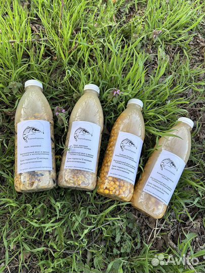 Прикормка для рыбалки