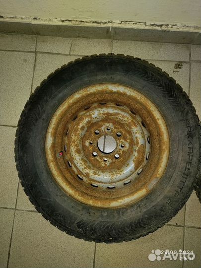 Nokian hakkapeliitta 8 175/70/13