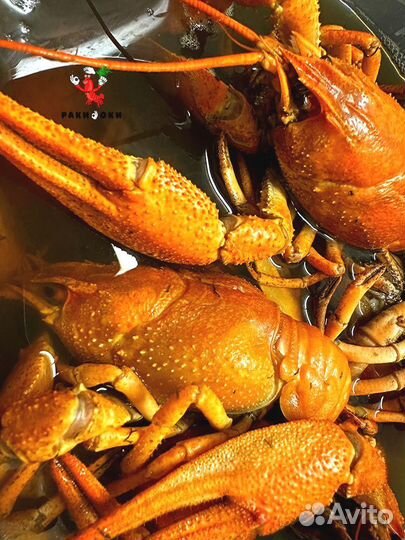 Раки отборные изумительная варка