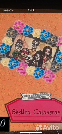 Дневник скелитты