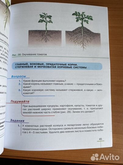 Биология.Покрытосеменные растения 6 класс учебник