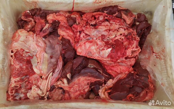 Мясо и кости для собак