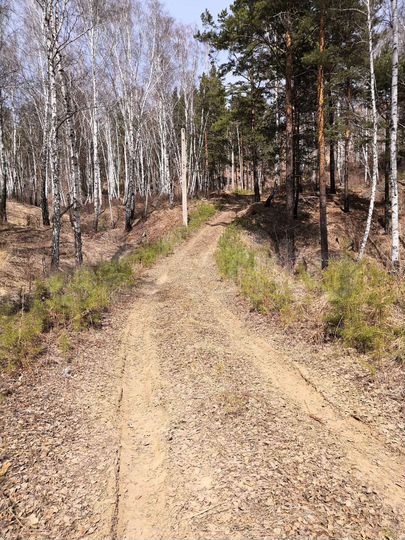 Участок 8 сот. (СНТ, ДНП)