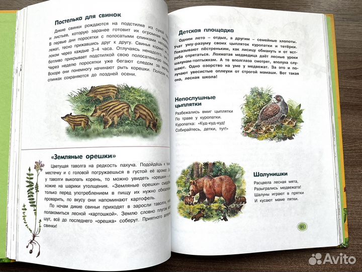 Хрестоматия по окружающему миру 1-4 класс