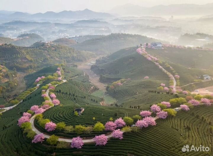 Тур-путешествие в Китай от 6 ночей