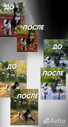 Обработка фотографий