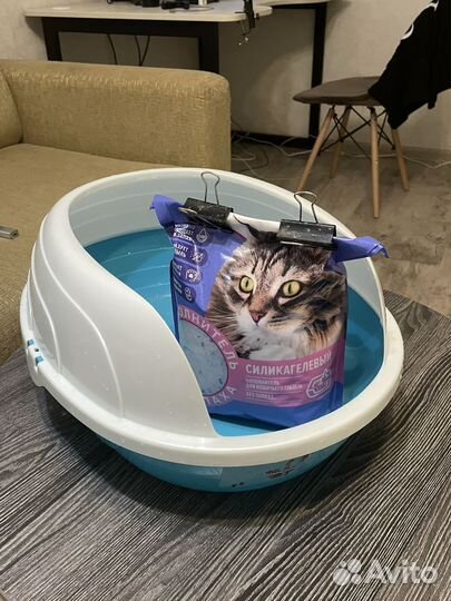 Лоток для кошек