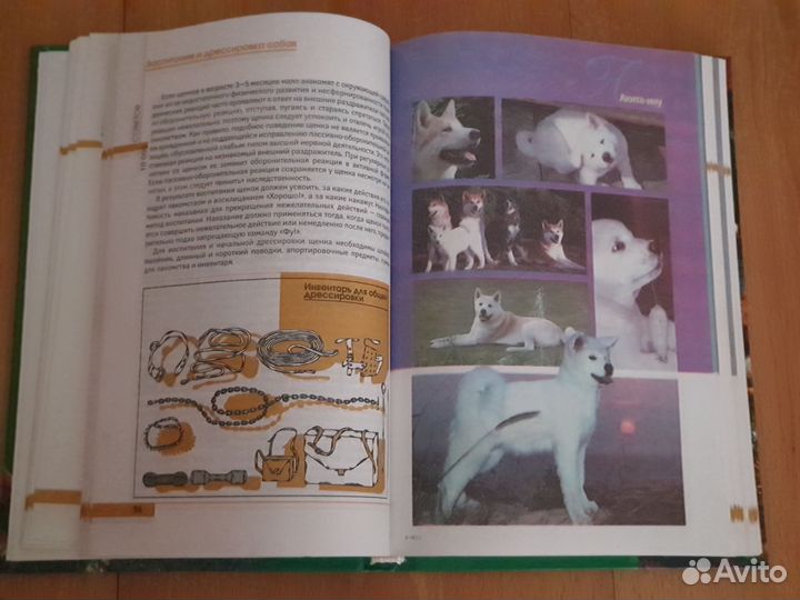 Книга по уходу за собаками