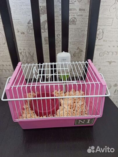 Переноска для грызунов