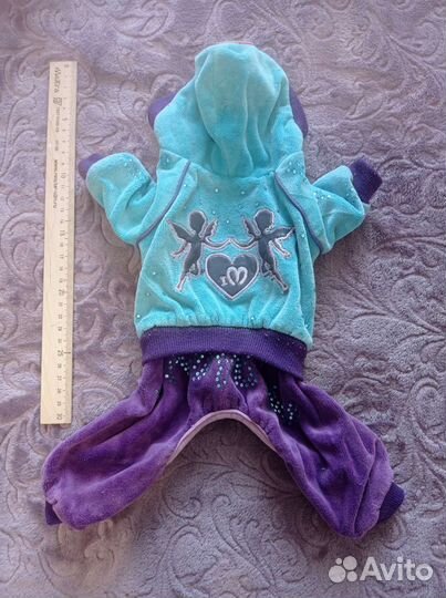 Одежда для собак