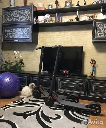 Электросамокаты. Ninebot KickScooter