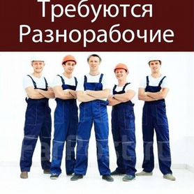 Требуются разнорабочии работа легкая 35смен 8ч