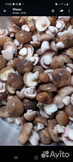 Маринованные опята, рыжики, подбер-ки, волнушки