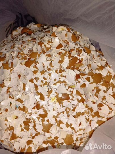 Яичная скорлупа