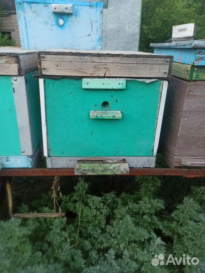 Продам ульи для пчел