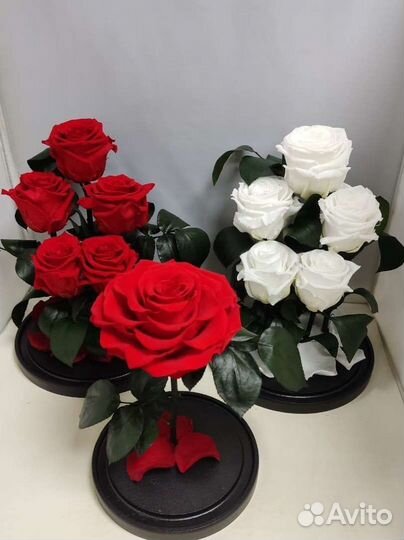 Подарок на новый год/ Роза в колбе