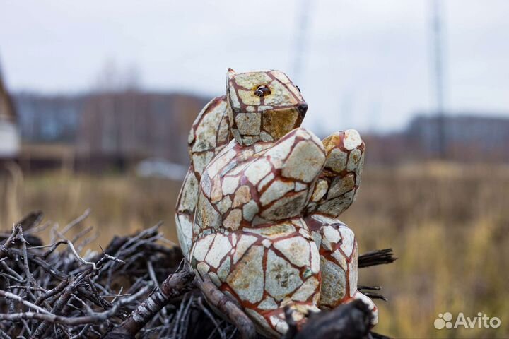 Белка каменная