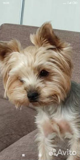 Тренер по танкам