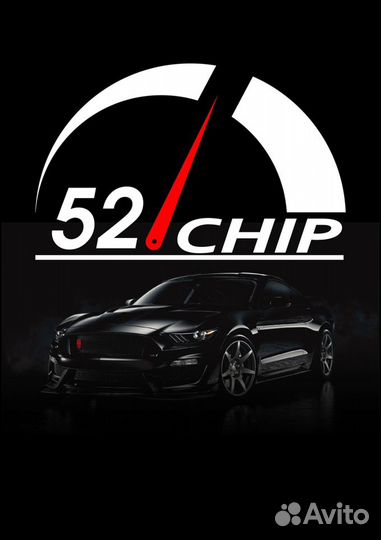 Чип-тюнинг (Евро-2)