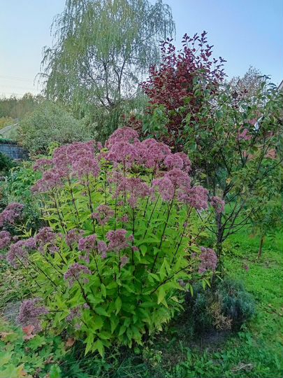 Дом 141,5 м² на участке 22 сот.