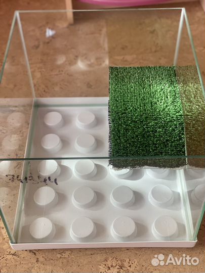 Террариум для красноухой черепахи