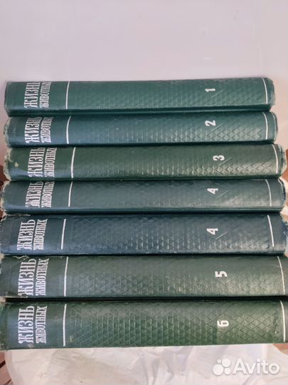 Жизнь животных