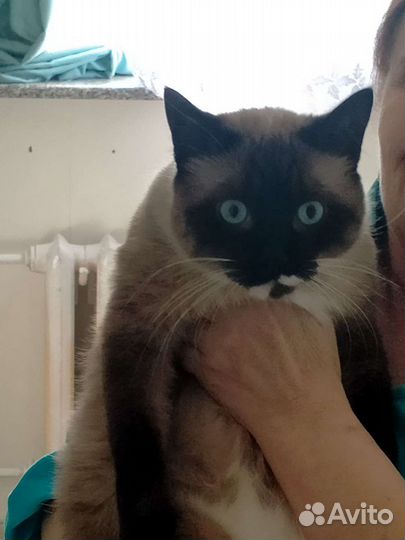 Электрик сегодня. Без посредников