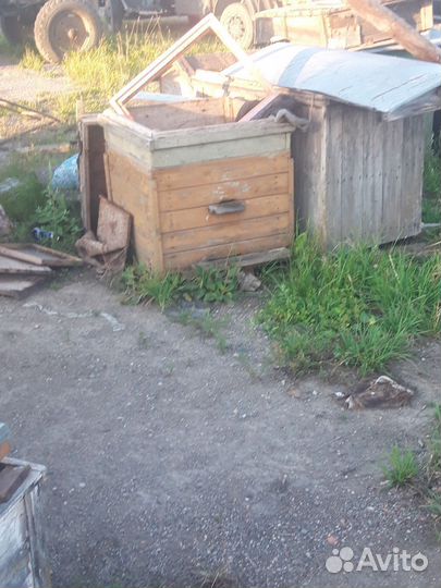 Ульи для пчел