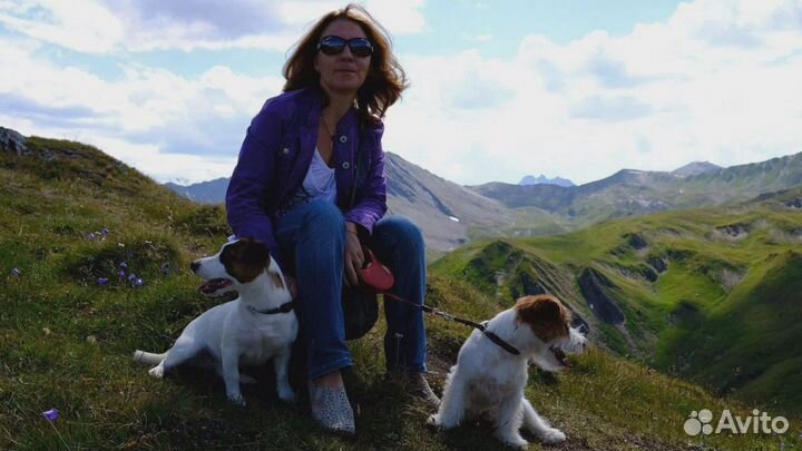 Услуги кинолога с выездом