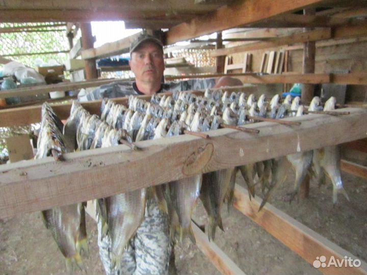 Рыбалка в Астрахани