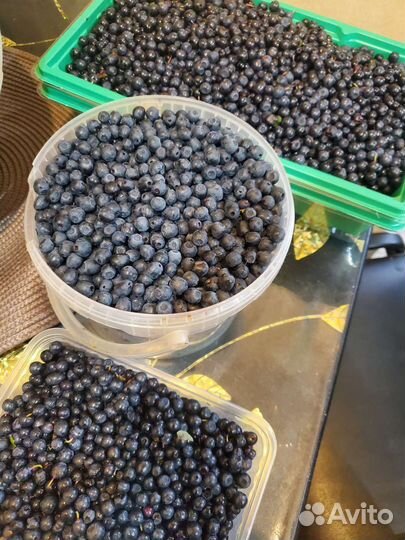 Ягоды черника