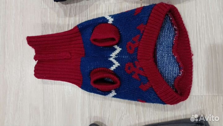 Одежда для маленькой собачки