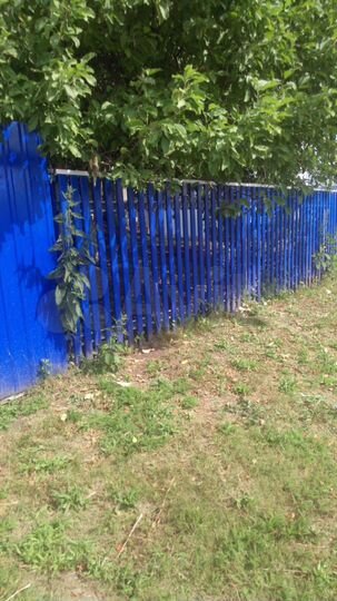 Дом 24 м² на участке 14 сот.