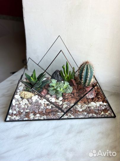 Флорариум, моссариум, бонсай,мох стабилизированный
