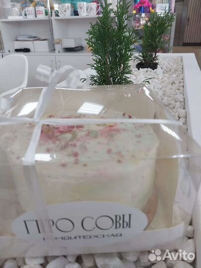 Бенто-торт в Наличии